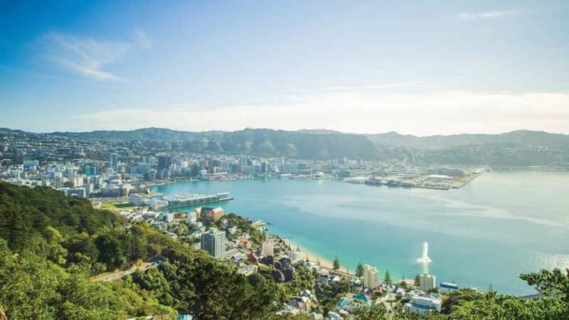 Wellington Helicopters Scenic Harbour Flight - Why This Tour Works Well