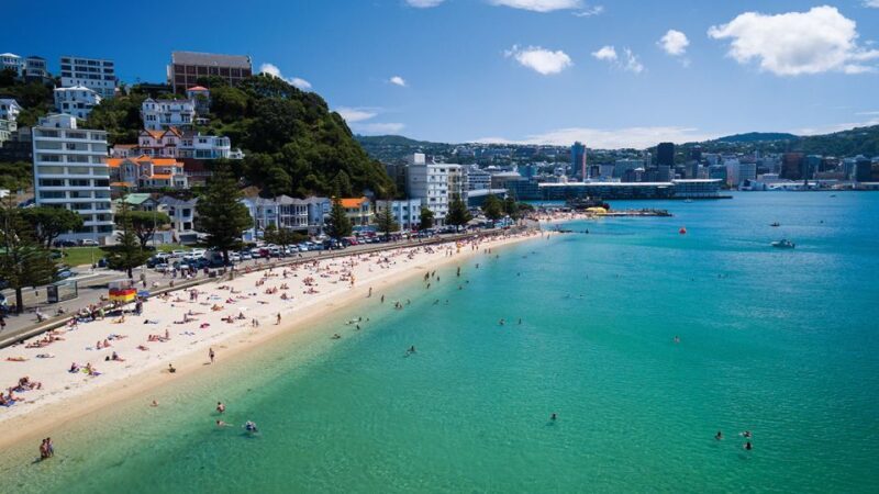 Wellington Helicopters Scenic Harbour Flight - FAQs
