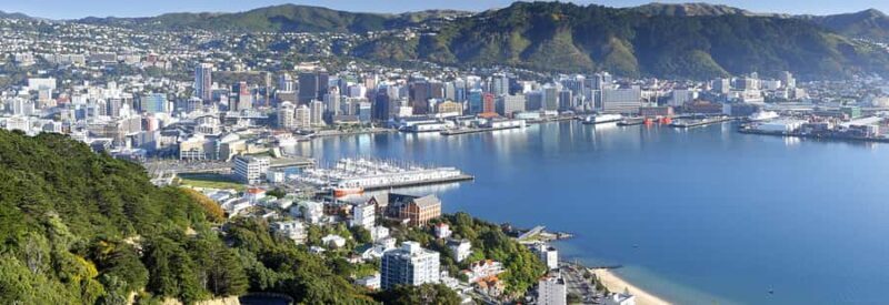 Wellington: Highlights Tour with a Local Guide - What Makes This Tour a Good Choice?