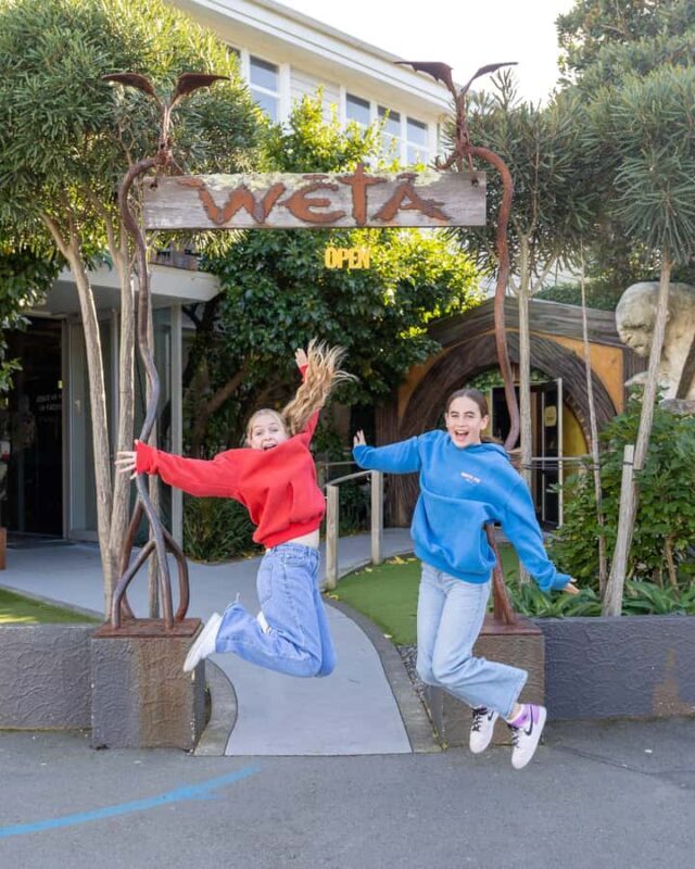 Wellington: Highlights Tour with a Local Guide - What Travelers Say