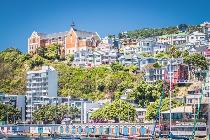 Wellington Hiking Tour: Climb & Unwind Experience - A Detailed Look at the Wellington Climb & Unwind Tour