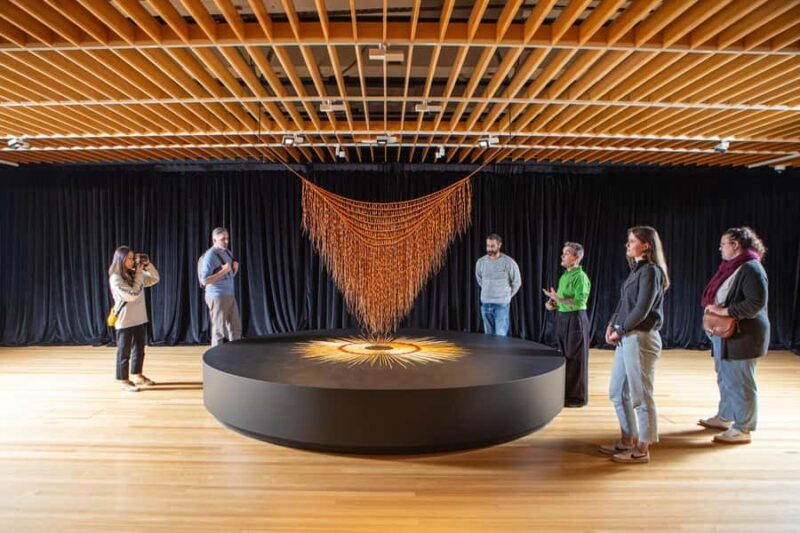 Wellington: Museum of NZ General Admission - What to Expect When Visiting
