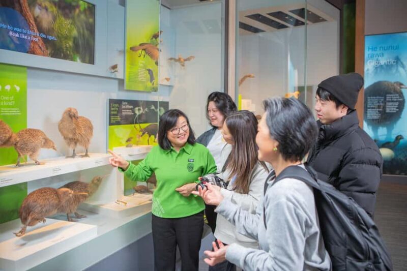 Wellington: Museum of NZ Intro Tour & General Admission - An In-Depth Look at the Experience