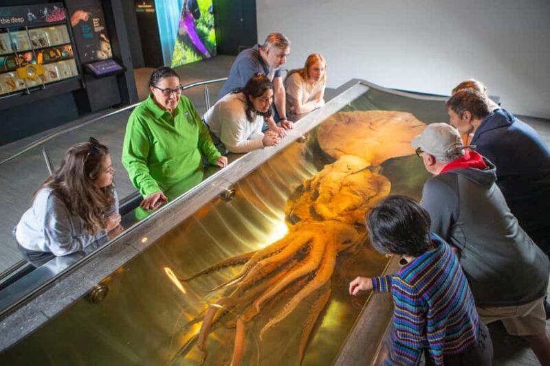Wellington: Museum of NZ Intro Tour & General Admission - Final Thoughts