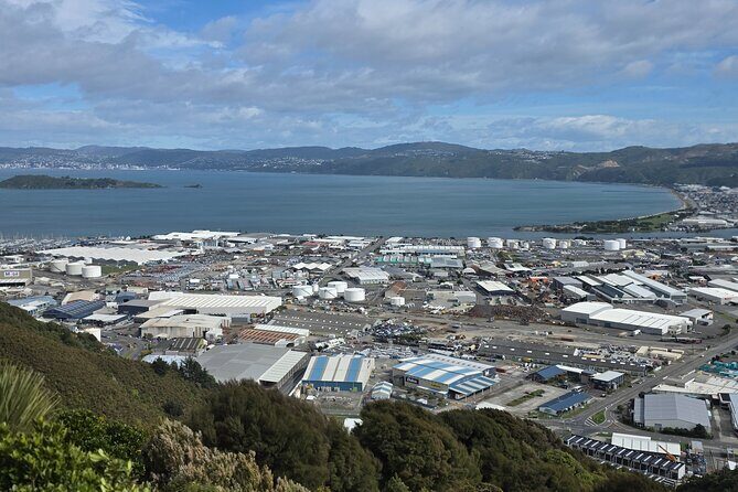 Wellington Native Bush Walking Tour - An In-Depth Look at the Wellington Native Bush Walking Tour