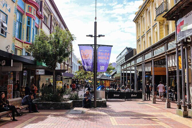 Wellington Private City Tour. Hotel or Port pick up. Tickets incl - Exploring Wellington with the Private City Tour