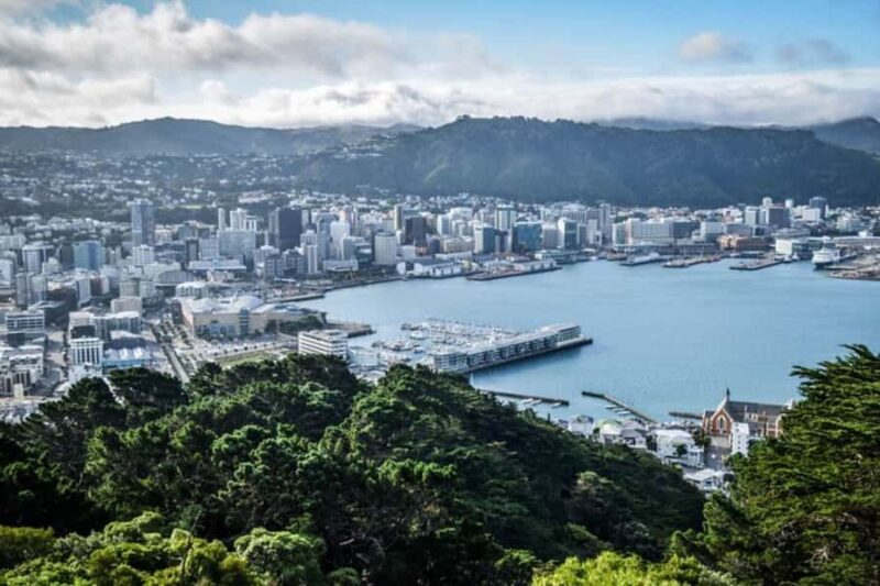 Wellington: Private custom tour with a local guide - Key Points