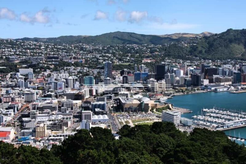 Wellington: Private custom tour with a local guide - Frequently Asked Questions