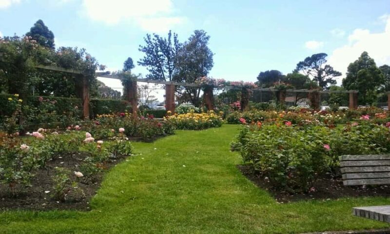 Wellington: Private Day Tour with Lunch - An In-Depth Look at the Wellington Private Day Tour