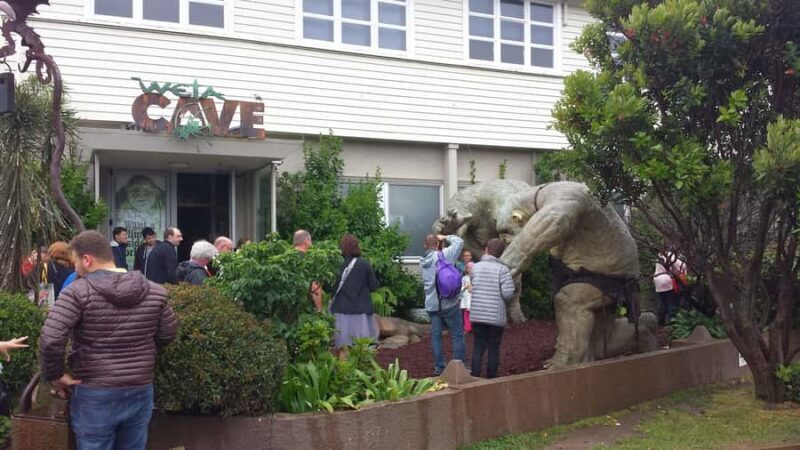Wellington: Private Day Tour with Lunch - FAQ