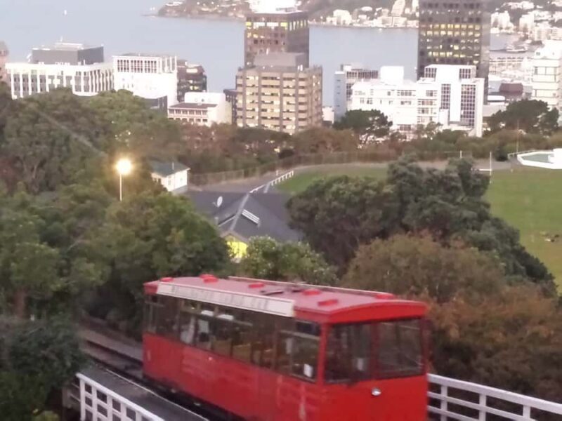Wellington: Private Day Tour with Lunch - Final Words