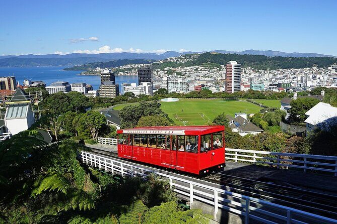 Wellington Private One Day Tour - Exploring Wellington in Style and Comfort