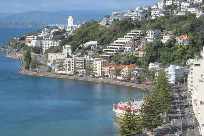 Wellington Private One Day Tour - What Else Makes This Tour Stand Out?