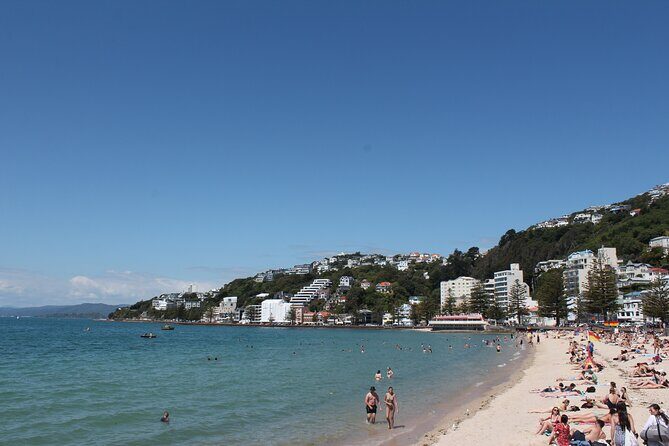 Wellington Scenic Full Day Tour - Who Will Benefit Most From This Tour?