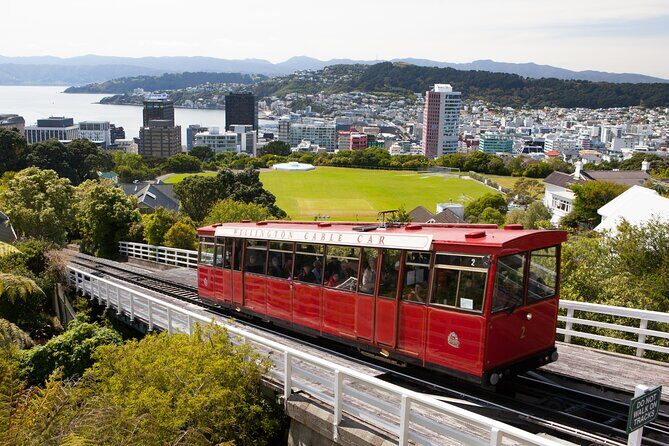 Wellington Shore Excursion City Sightseeing Tour - Key Points