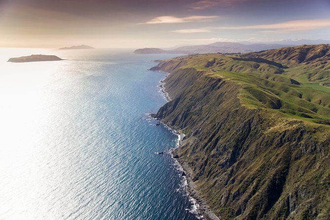 Wellington South Coast Discovery Helicopter Flight - What to Expect from the Wellington South Coast Discovery Helicopter Flight