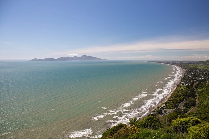 Wellington South Coast Discovery Helicopter Flight - Who Should Consider This Tour?