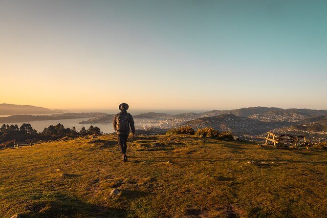 Wellington: Wild Skyline Guided Hiking Tour, Transfers + Lunch - Why You’ll Love the Wellington Skyline Guided Hike