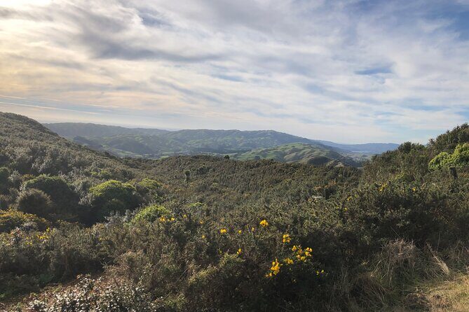 Wellington: Wild Skyline Guided Hiking Tour, Transfers + Lunch - Authentic Experiences and What You’ll Remember