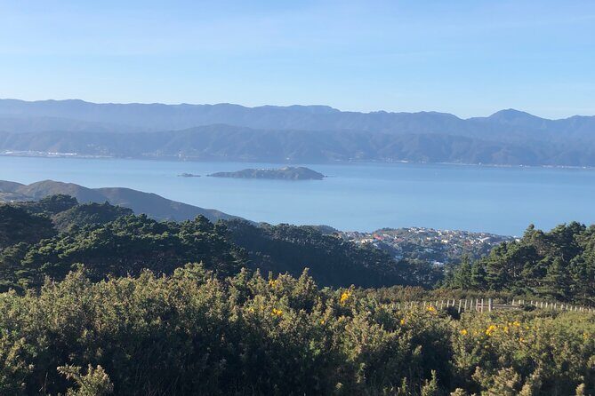 Wellington: Wild Skyline Guided Hiking Tour, Transfers + Lunch - Who Will Love This Tour?