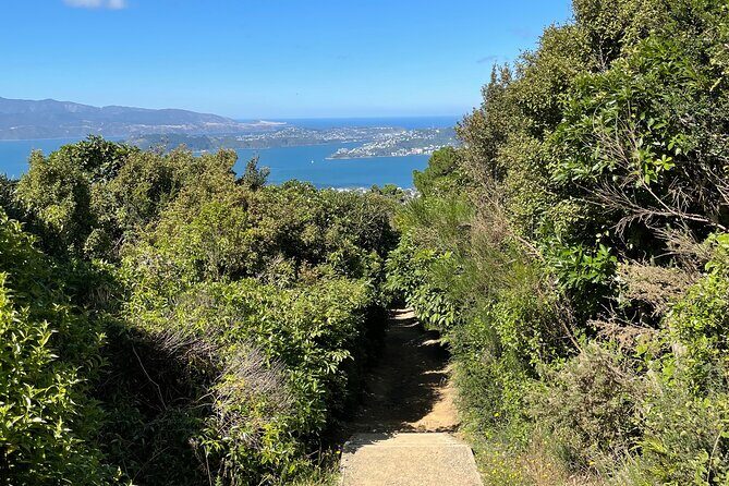 Wellington: Wild Skyline Guided Hiking Tour, Transfers + Lunch - The Sum Up