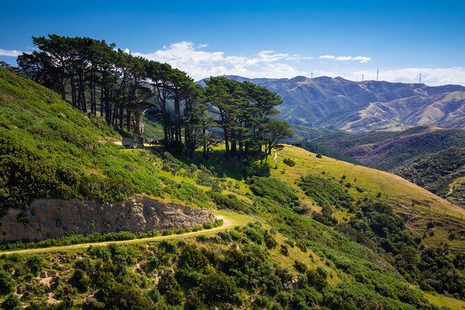 Wellington: Wild Skyline Guided Hiking Tour, Transfers + Lunch - FAQ