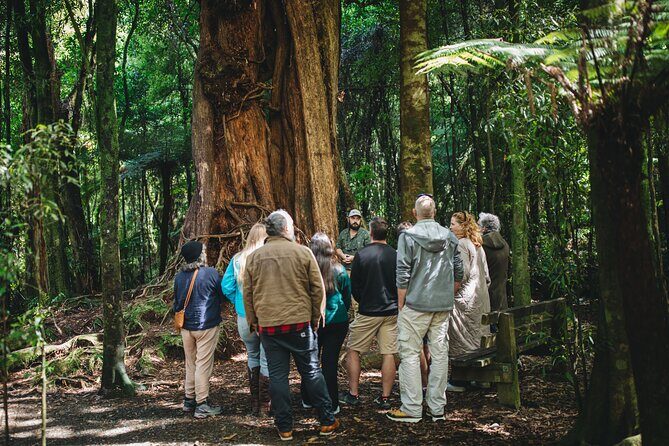 Wellington's Original LOTR Experience - includes Weta and Lunch - Key Points
