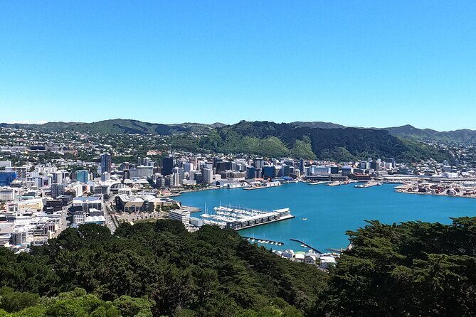 Wellington's Original LOTR Experience - includes Weta and Lunch - Full Itinerary Breakdown: What To Expect