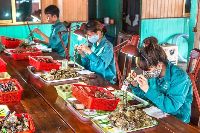 Wellness Detox Journey In Vietnam - Practical Details and Considerations