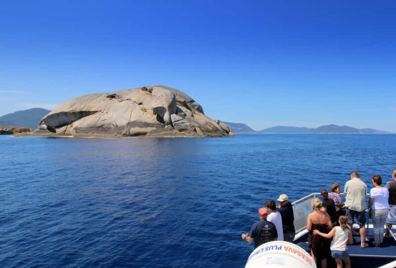 Welshpool: Wilsons Promontory Nature and Wildlife Day Cruise - The Itinerary Breakdown: What to Expect