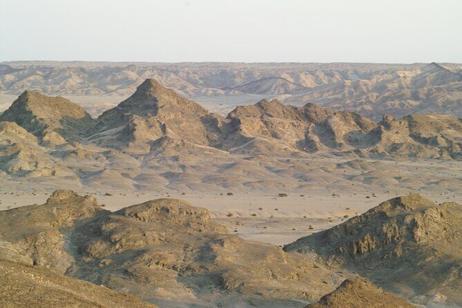 Welwitschia Tour from Swakopmund - Why This Tour Works for Different Travelers