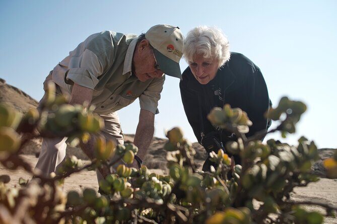 Welwitschia Tour from Swakopmund - Who Should Consider This Tour?