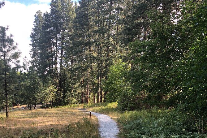 Wenatchee River Institute: A Self-Guided Tour with the Artists - Authenticity and Reviews