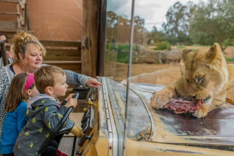 Werribee Open Range Zoo: Entry Ticket - The Animal Encounters and Highlights