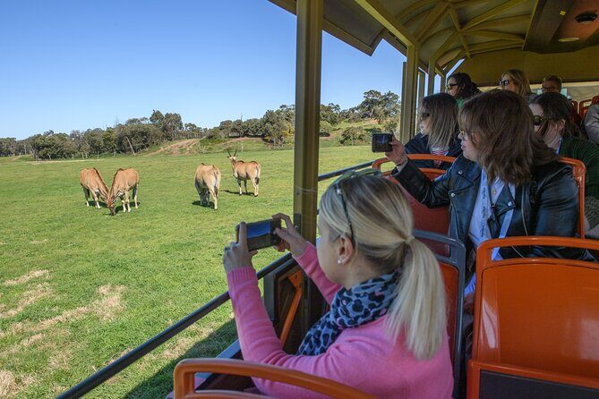 Werribee Zoo & Werribee Mansion Tour - FAQs