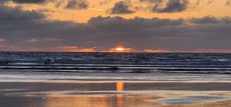West Auckland: Sunset with Thermal pool & Wine Tasting - Why This Tour Stands Out