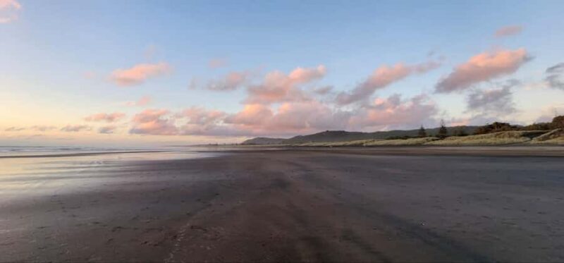 West Auckland: Sunset with Thermal pool & Wine Tasting - Practical Details and Considerations