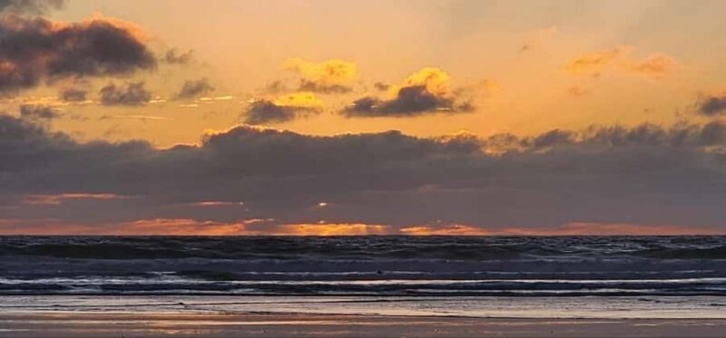 West Auckland: Sunset with Thermal pool & Wine Tasting - Who Will Love This Tour?