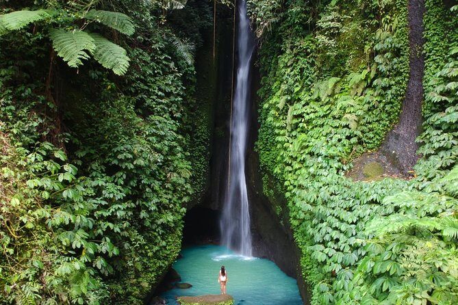 West Bali Tour: Taman Ayun, Ulun Danu Beratan, Jatiluwih Rice Terrace, Tanah Lot - Who Is This Tour Best For?