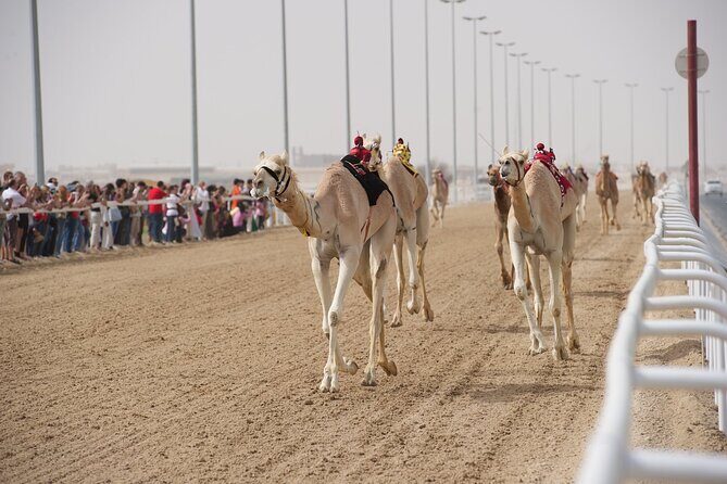 West Coast and Camel Race Track Visit - What’s Included and What to Expect