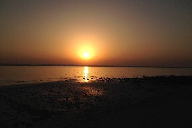 West Coast and Camel Race Track Visit - FAQ