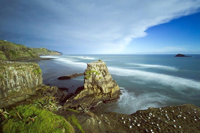 West Coast Discovery - Piha Beach or Muriwai Beach from Auckland - Who Is This Tour Best For?