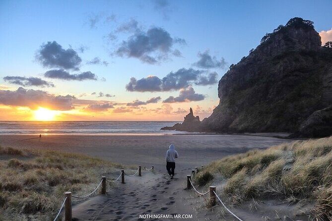 West Coast Discovery Piha Beach Private Tour - Authentic Experiences Amid Some Rushed Moments
