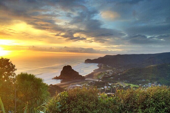 West Coast Discovery Piha Beach Private Tour - The Value of the Experience