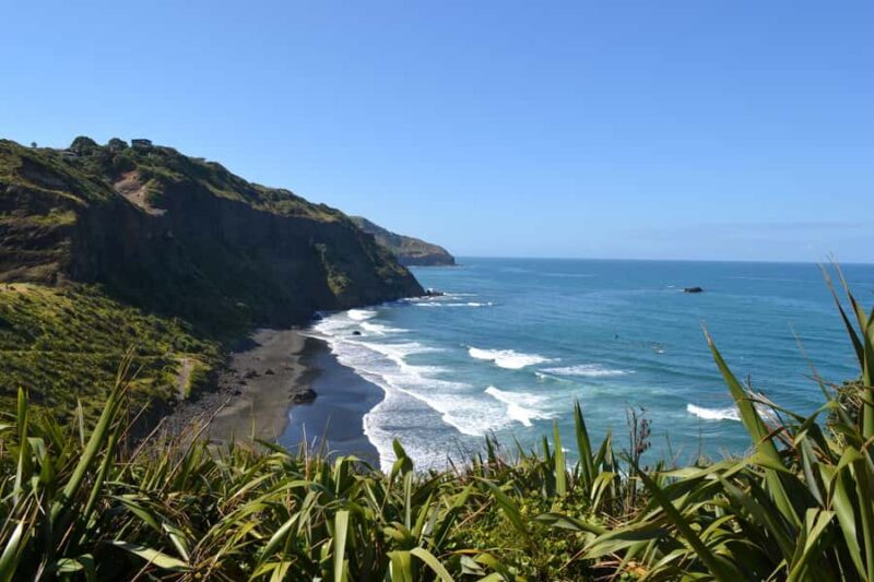 West Coast Discovery Piha Beach Private Tour - Exploring the West Coast of New Zealand: An Honest Look at the Piha Beach Private Tour