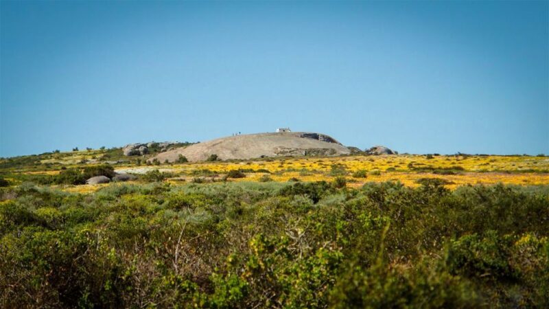 West Coast National Park: Private Day Tour. - Key Points