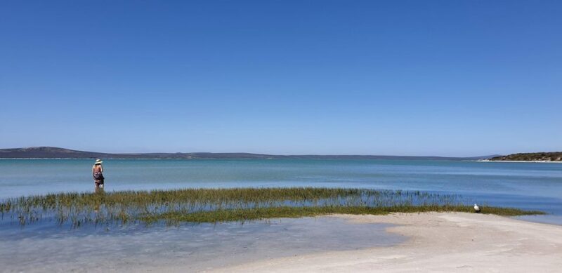 West Coast National Park: Private Day Tour. - The Practical Side: Logistics and Inclusions