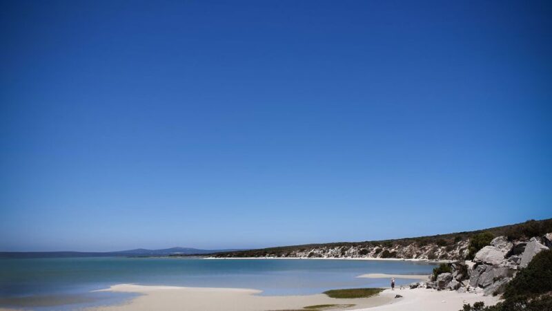 West Coast National Park: Private Day Tour. - What to Bring and Tips for Travelers
