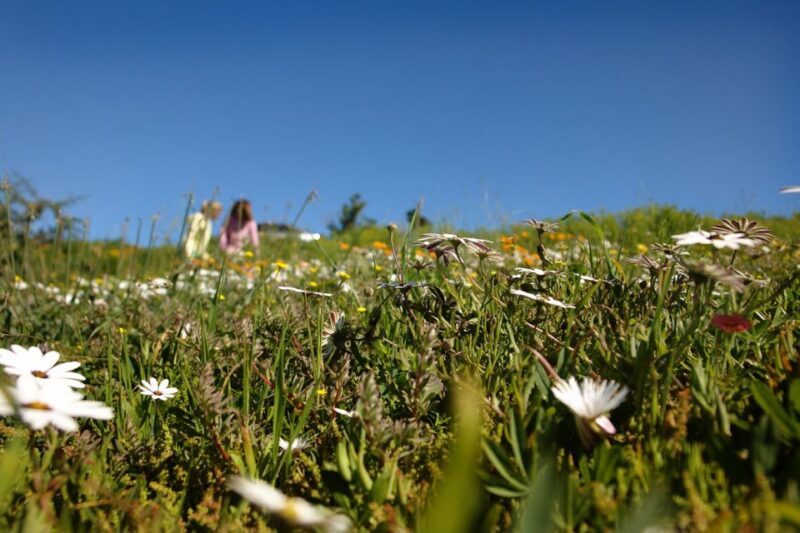 West Coast National Park: Private Day Tour. - Who Should Consider This Tour?