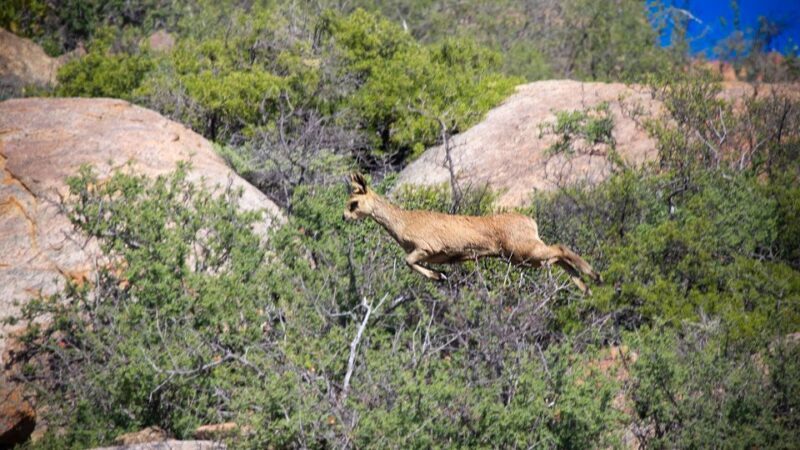 West Coast National Park: Private Day Tour. - FAQs